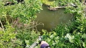 Охота с рогаткой на крупного голавля