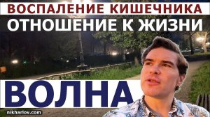 Язвенный колит, полипы кишечника, психосоматика, отношение к себе, отношение к жизни. Волна Док Ник