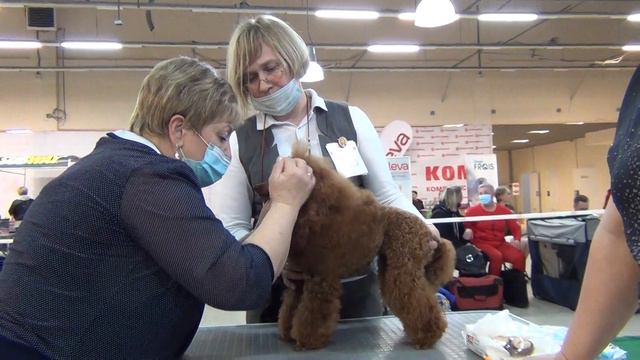 305  Моно. Екатеринбург 25.04.2021г.  Тиа дивинити Галакси. смотреть онлайн