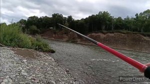 Камчатка! река Авача! кижуч на блесну!