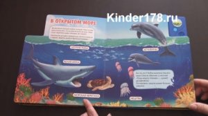 Говорящая книжка: рассказы о животных "Кто живёт в воде?" Азбукварик. Видео-обзор