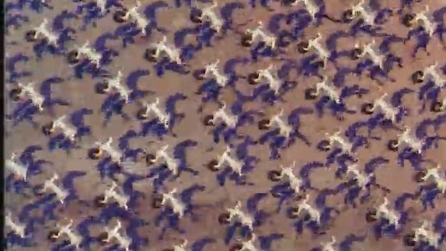 Былины -  Сказание про Игорев поход смотреть онлайн