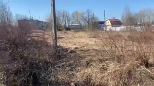 ИЖС, Средняя колония, Санкт-Петербург