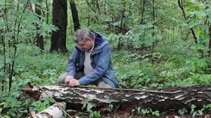 Мастер-класс «Самодельный лук и стрелы»