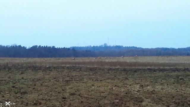 Selfie-Blog: Первый разведочный поход в марте смотреть онлайн