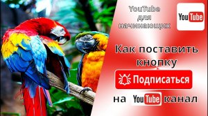 Как поставить кнопку ПОДПИСАТЬСЯ поверх видео в правый нижний угол на YouTube. Брендинг ЮТуб-канала.