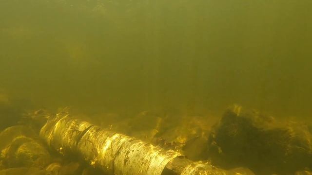 Conrad Outdoor Odyssey ep1 смотреть онлайн