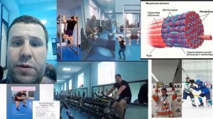 Как увеличить выносливость хоккеисту.