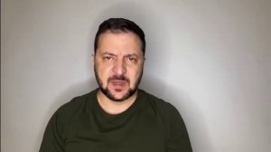 Зелебобик новости