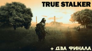 S.T.A.L.K.E.R.: Call of Pripyat + мод True Stalker | Финал + две концовки