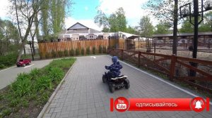 #13.ВОРОНЕЖ. Идём с племянником в Зоопарк ? Куда сходить с детьми в Воронеже на выходных?