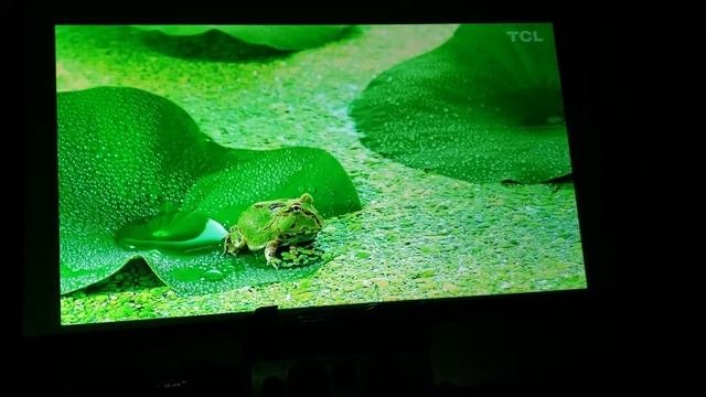 Optoma Uhd50