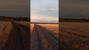 Анна Егоян - обещаю тебя хранить