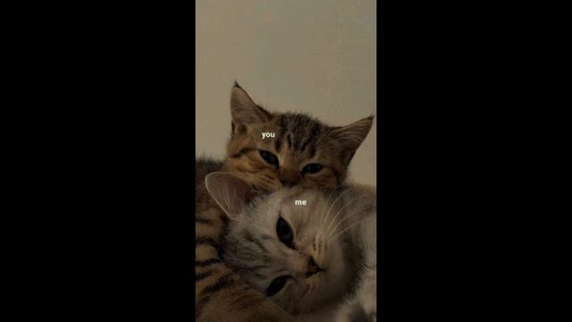 Женя Лизогуб-По фазам(speed up) смотреть онлайн