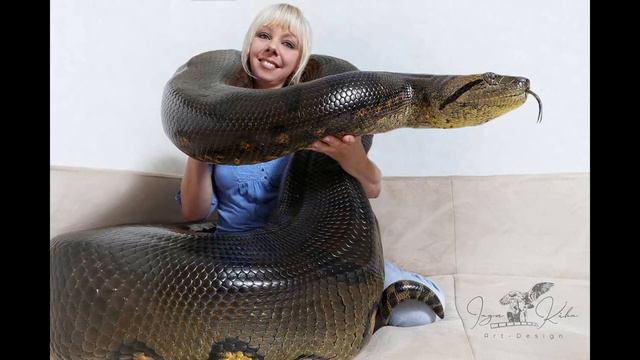 SNAKE GIRL AND THE DEADLY ANACONDAS ! A Must See Video That Can Give Nightmares ! смотреть онлайн