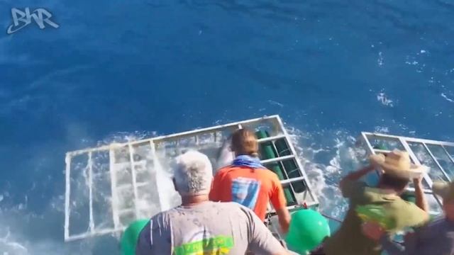 Что БУДЕТ? Если Акула Нападёт на Человека! смотреть онлайн