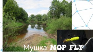 Мушка Mop Fly