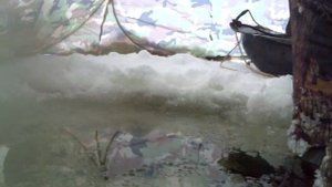 ловля на чертика на чудском озере зимой