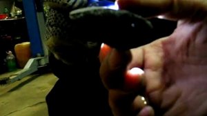 Солярис. СР Не запускается двигатель. Забитый катализатор (нейтрализатор).