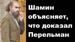 Шамин объясняет, что доказал Перельман