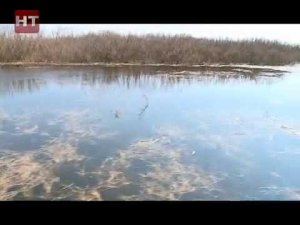 До 1 июня в Новгородской области действует запрет на вылов рыбы ценных пород