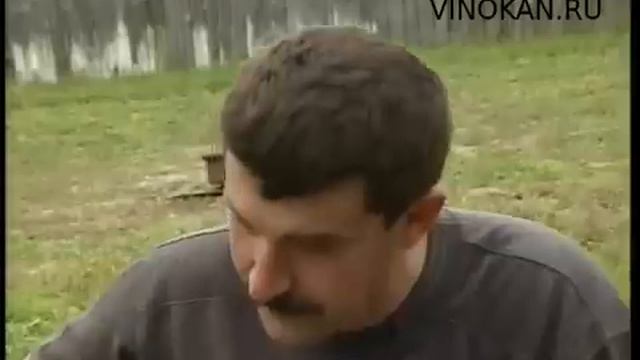 Песни в исполнении Владимира Виноградова смотреть онлайн