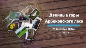 Двойные горы Арбековского леса