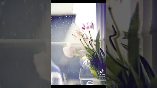 хорошего дня