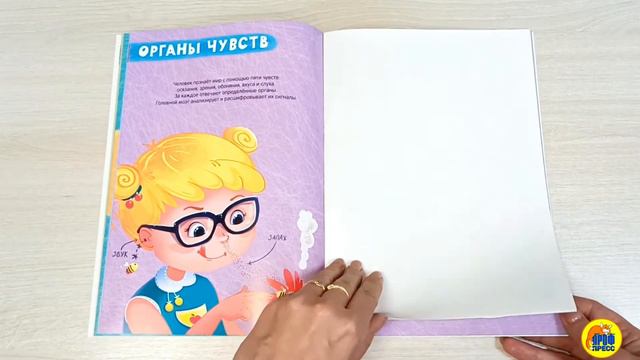 Атлас с наклейками. Тело человека
