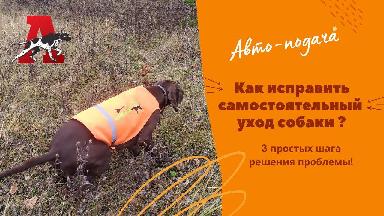 Автоподача - первая предпосылка к гоньбе!