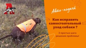 Автоподача - первая предпосылка к гоньбе!