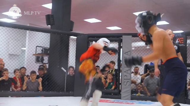 Московская лига Панкратиона-Анонс к турниру - Level 41 смотреть онлайн