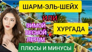 ЕГИПЕТ 2022: ХУРГАДА или ШАРМ ЭЛЬ ШЕЙХ, где лучше зимой,весной и летом?Отдых в Египте.Куда поехать?