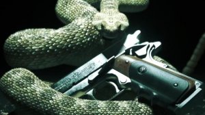 Лысый понедельник — Hitman: Absolution