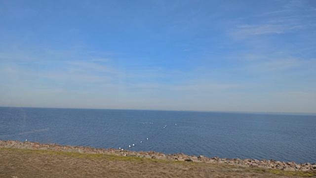 финский залив