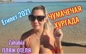 Егтпет?Хургада зимой 2021??Наш номер Zahabia 3* #египет #хургада #красное море