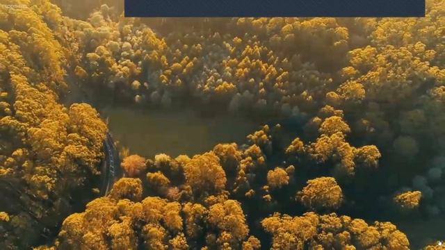 День открытых дверей "Женская Академия" смотреть онлайн