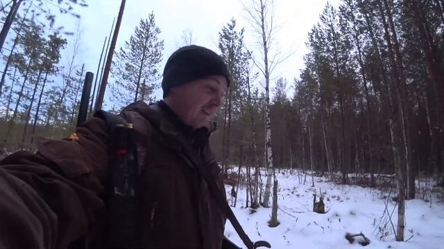 Охота на боровую дичь. Добыл ГЛУХАРЯ. смотреть онлайн