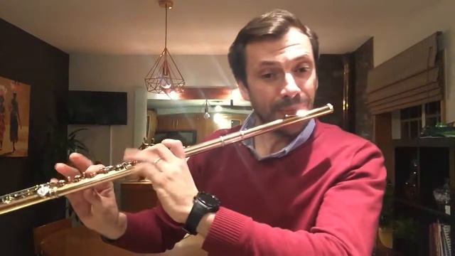 Gil Magalhães - Chaconne Op.107/30 Karg-Elert смотреть онлайн