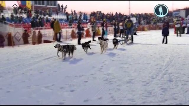 Берингия 2015 смотреть онлайн