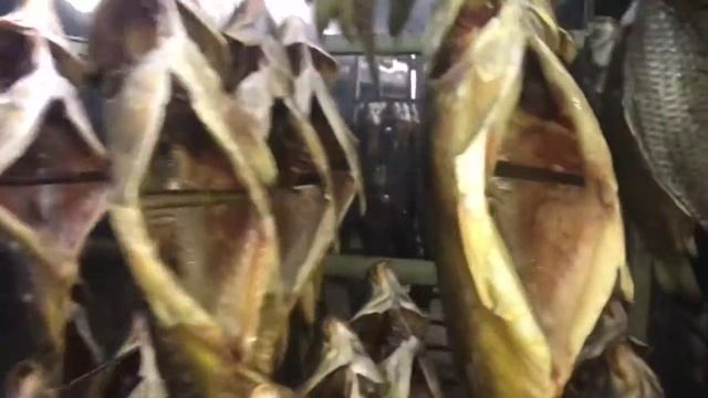 Камера вяления (сушки) рыбы серии УВР-5 с внешним осушителем. Быстрое и качественное вяление рыбы