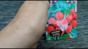 что посадить и посеять в сентябре