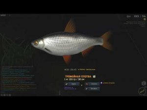 Fisher Online ХЕРСОН ДЕЛЬТА ПЛОТВА И ЗОЛОТОЙ КАРАСЬ