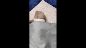 БАСИКИ ПОДБОРКА ИЗ ТТ 2 ЧАСТЬ / БАСИКИ ИЗ ТИК ТОКА #БАСИК #ТИКТОК #ТТ