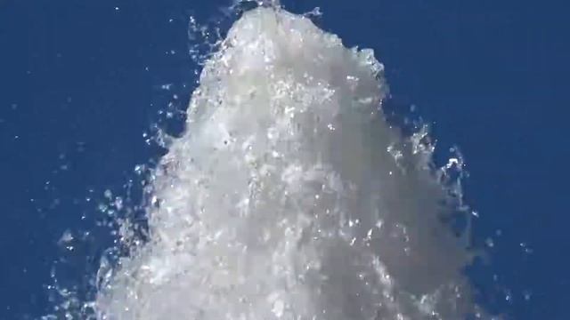 Петергоф. Нижний парк. Менажерный фонтан. 30.08.18 смотреть онлайн