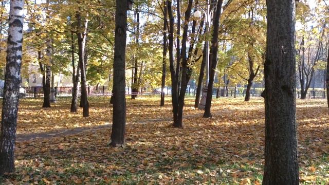 Памятник Стрекалову и сквер его имени в городе Мытищи смотреть онлайн