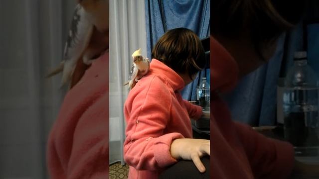 Корелла дома смотреть онлайн