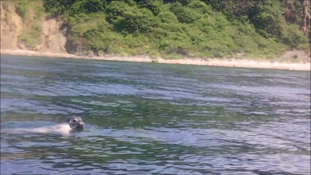 Путешествие из Хабаровска в Приморье, лето 2021 смотреть онлайн