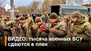 Почему тысяча морпехов ВСУ сдались в плен в Мариуполе? / РЕН Новости
