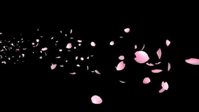 Sakura fall 1 смотреть онлайн